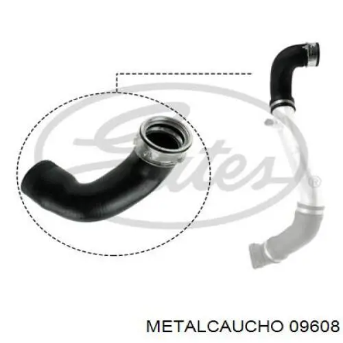 Comprar 206036 Cautex Tubo intercooler