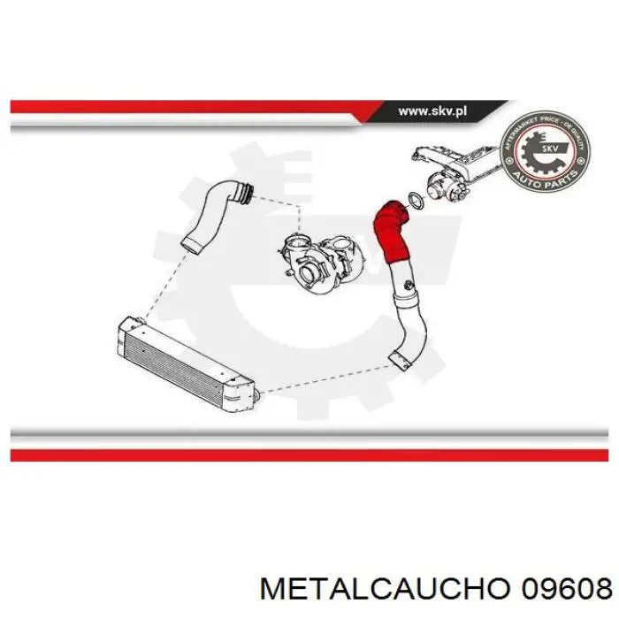 Manguera del intercooler Cautex 206036 precio, desde 58,30 EUR