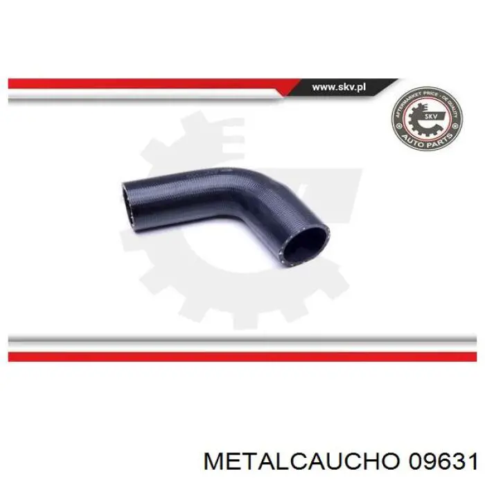 Manguera del intercooler Fiat/Alfa/Lancia 51901753 precio, desde 18,42 EUR