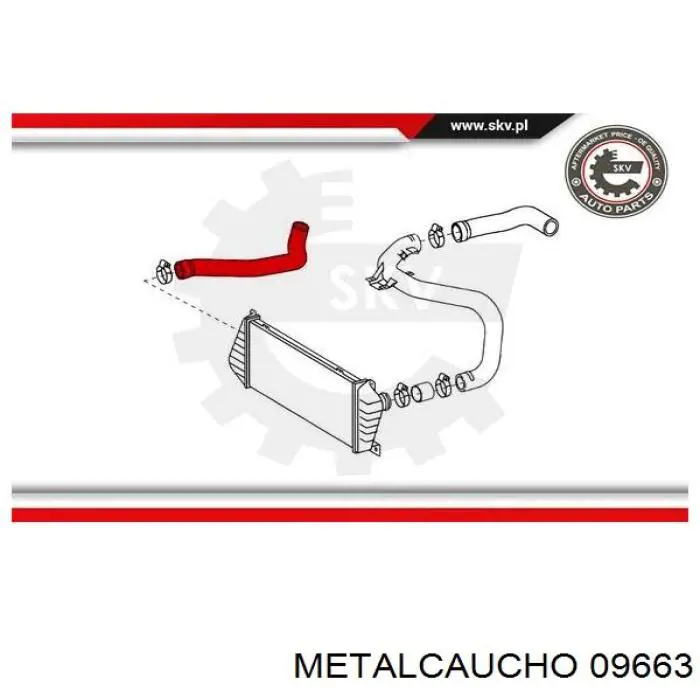 9015281882 Mercedes tubo flexible de aire de sobrealimentación derecho