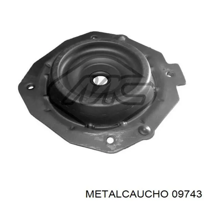 Manguera del intercooler Cautex 466816 precio, desde 28,62 EUR
