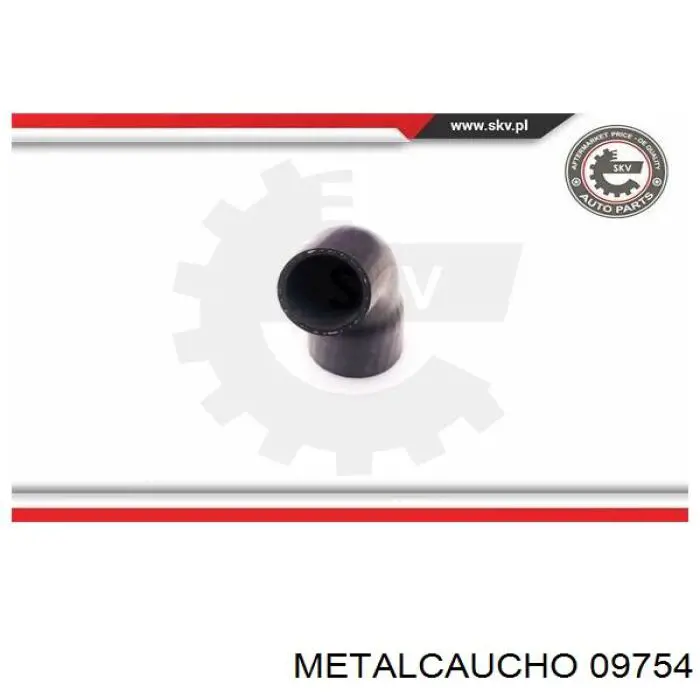 Manguera del intercooler Cautex 466855 precio, desde 69,50 EUR