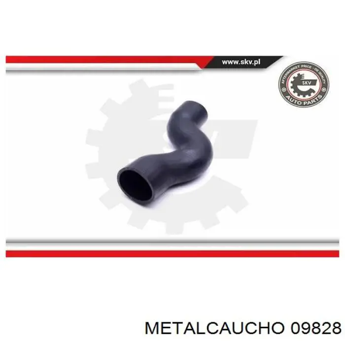 Comprar 486697 Cautex Tubo intercooler