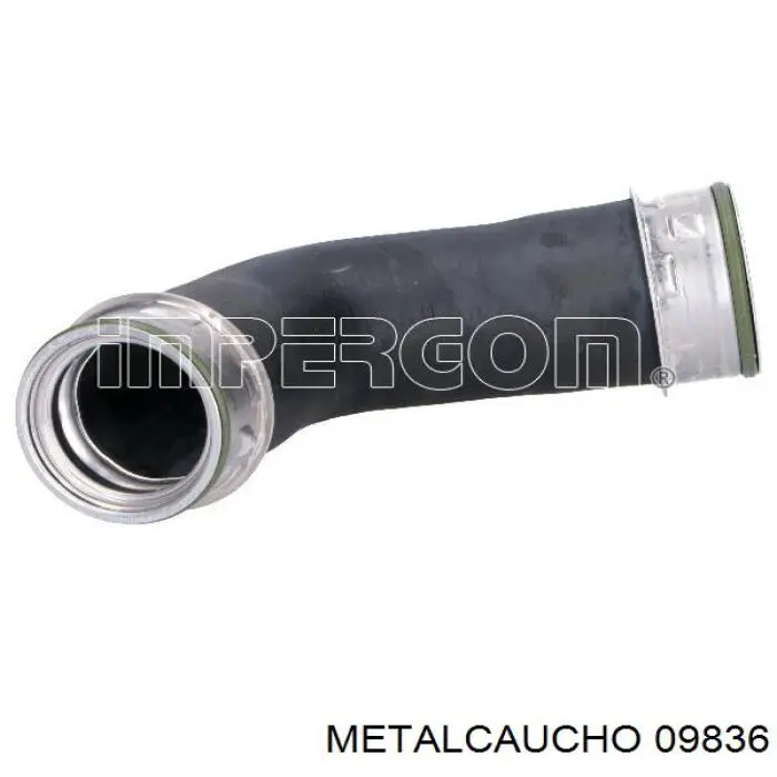 Manguera del intercooler Cautex 466845 precio, desde 32,18 EUR
