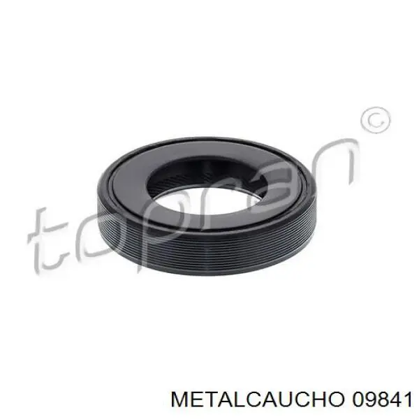 13323 Fare Manguera del intercooler