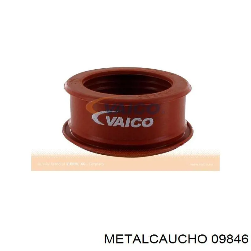 Conducto de aire, salida del filtro de aire Cautex 036797 precio, desde 26,34 EUR