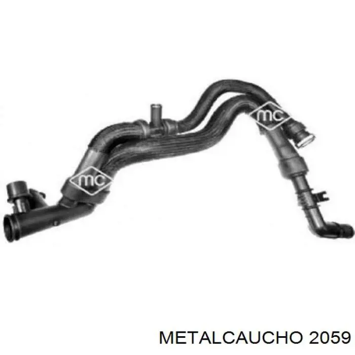 2059 Metalcaucho