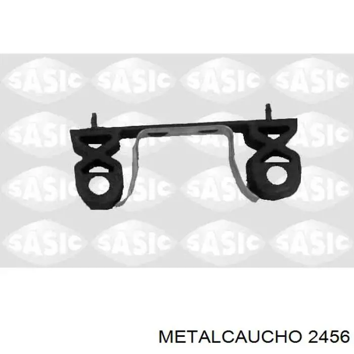 2456 Metalcaucho