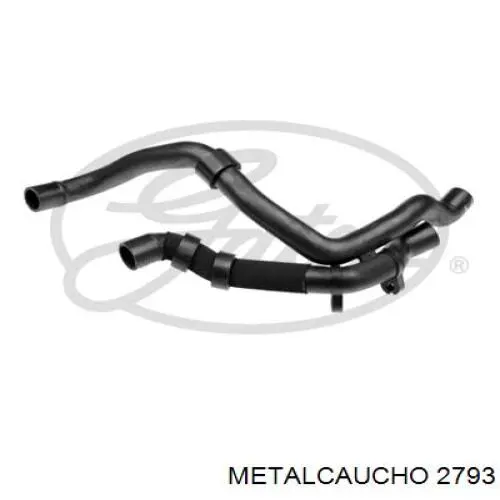 2793 Metalcaucho