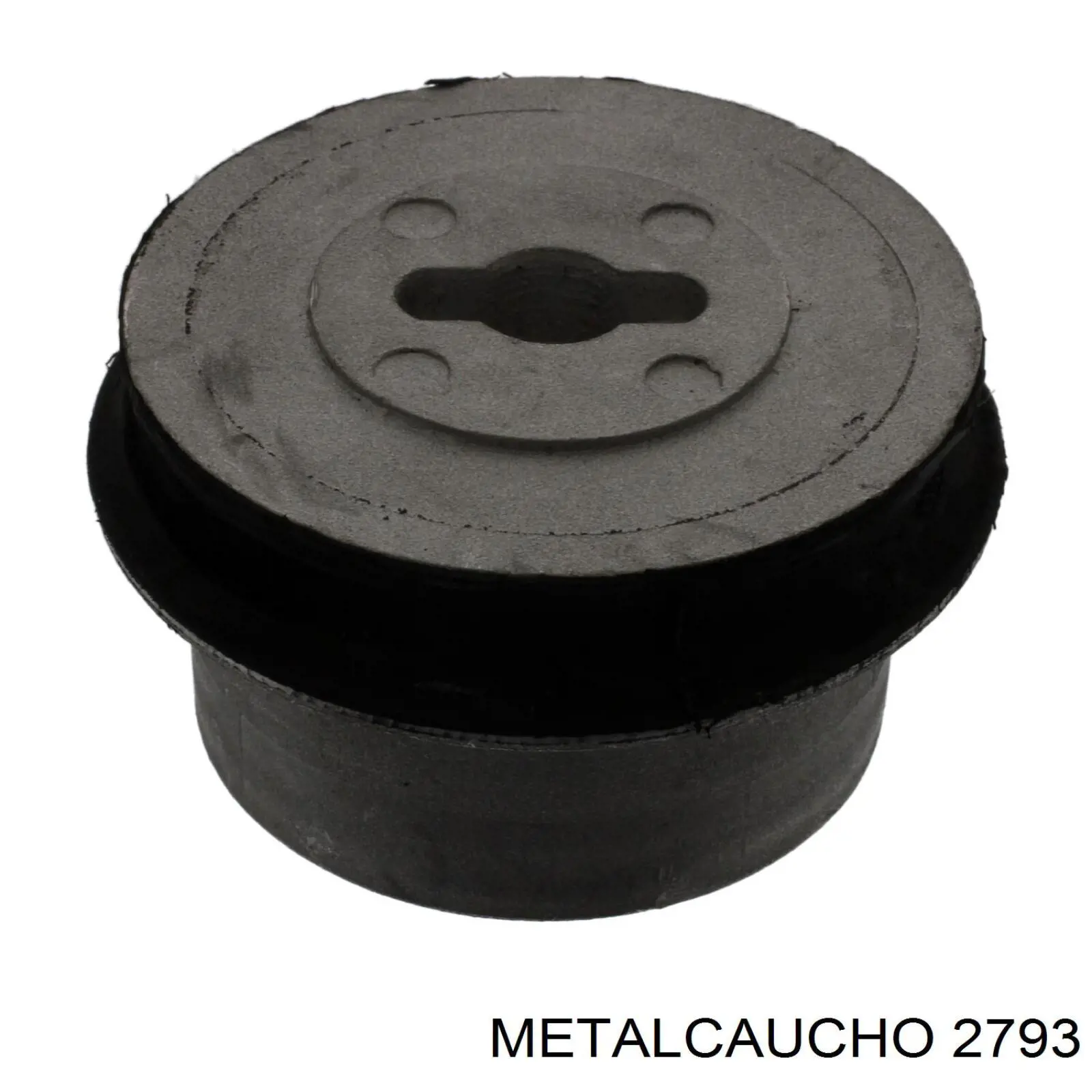  Metalcaucho 02793