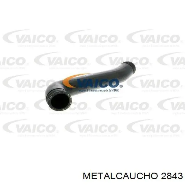 2843 Metalcaucho