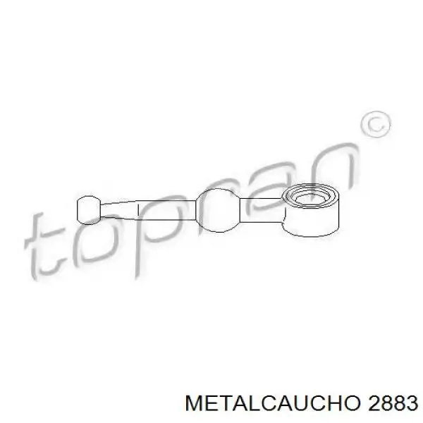  Cautex 010622