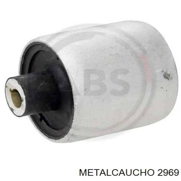 2969 Metalcaucho