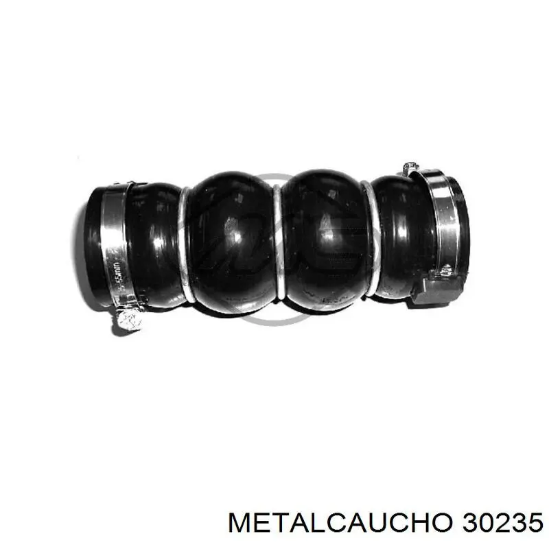 Termostato refrigerante Cautex 756728
