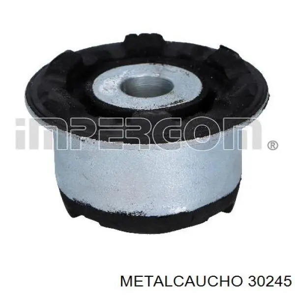 1436251 BMW Soporte de tanque de expansión