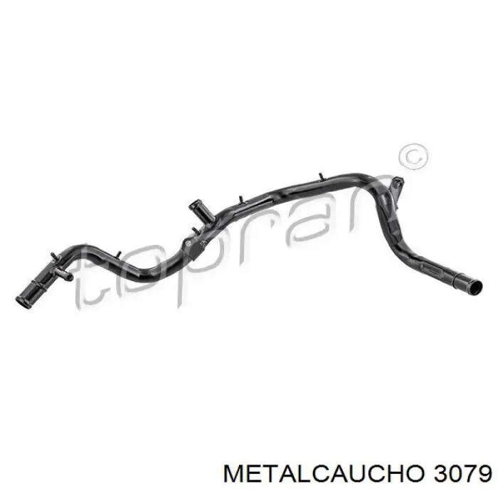 3079 Metalcaucho