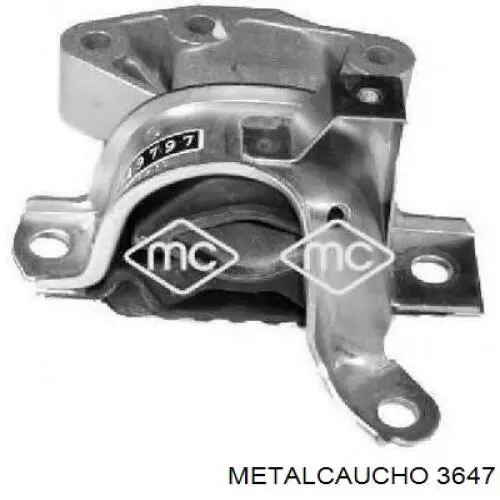 3647 Metalcaucho Depósito de expansión