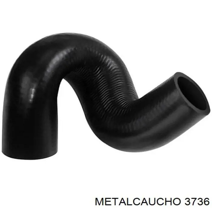 3736 Metalcaucho