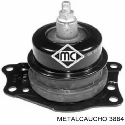 3884 Metalcaucho
