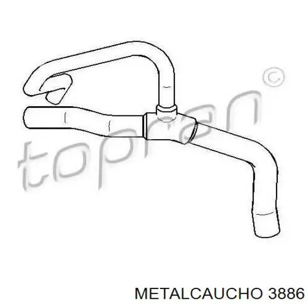3886 Metalcaucho Termostato de agua