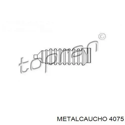 Soporte de motor derecho 7700821668 Renault (RVI)