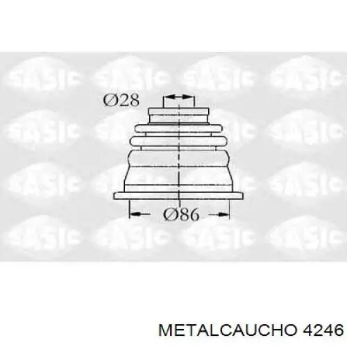 4246 Metalcaucho