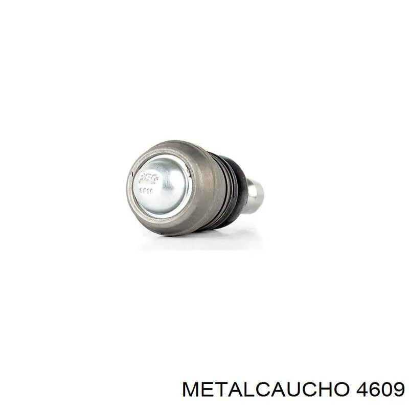4609 Metalcaucho Polea tensora