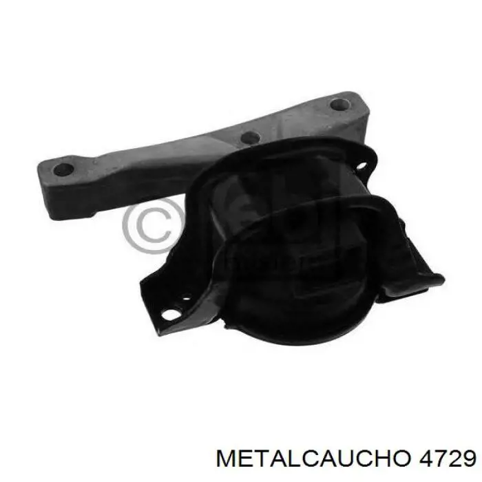 Poleas juego de piezas Renault Megane 2 LM0, LM1