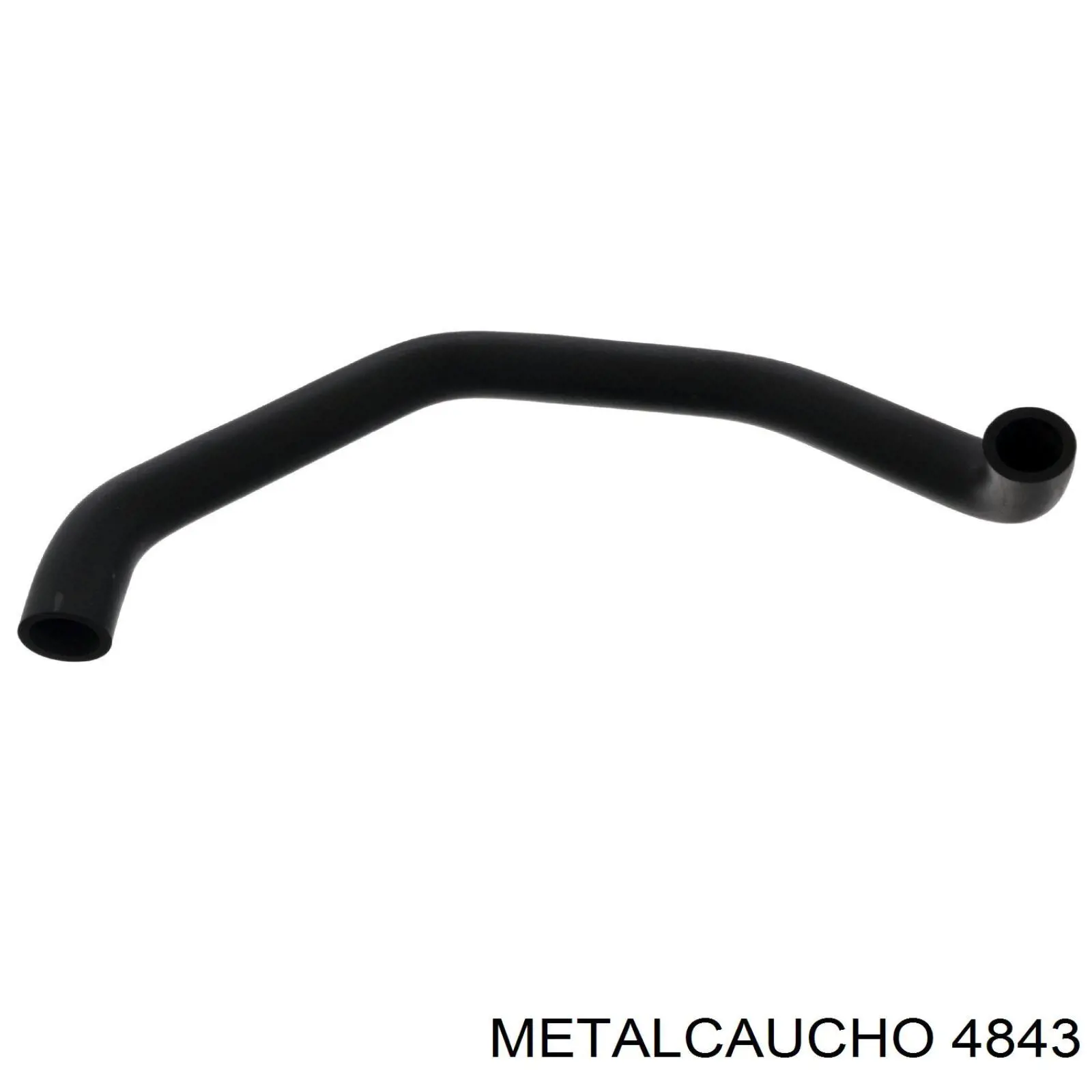 silentblock del eje trasero Ford Fiesta V (JH, JD)