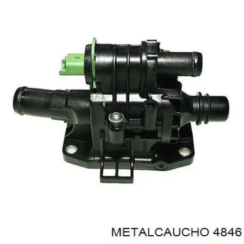 4846 Metalcaucho