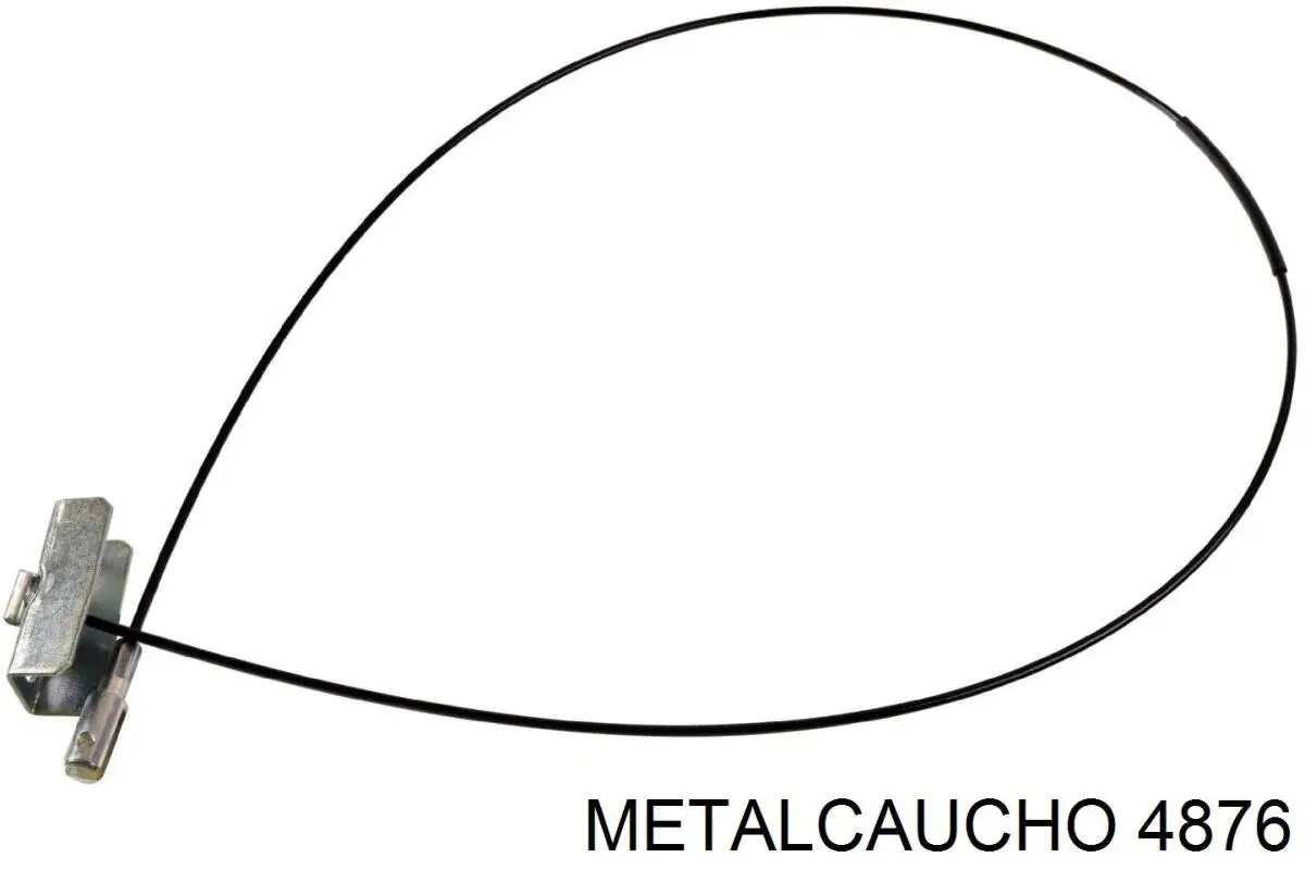 4876 Metalcaucho