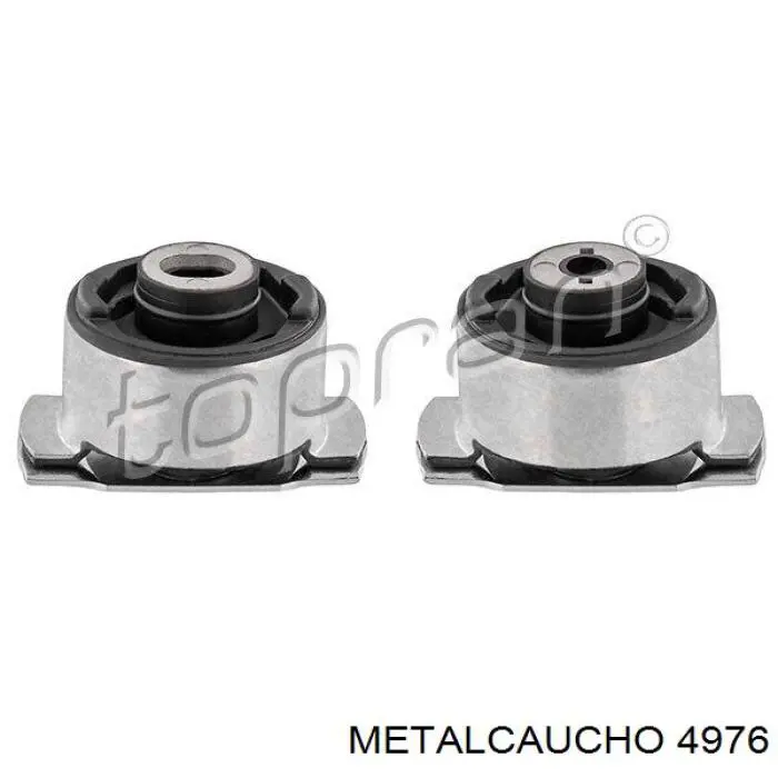 4976 Metalcaucho