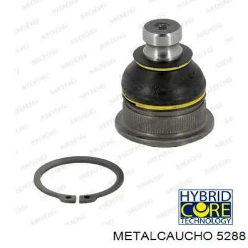 Copelas trasero Ford Focus II hatchback comprar en España