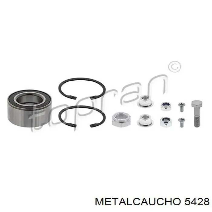 5428 Metalcaucho