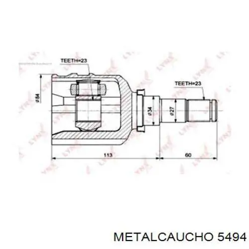 5494 Metalcaucho 