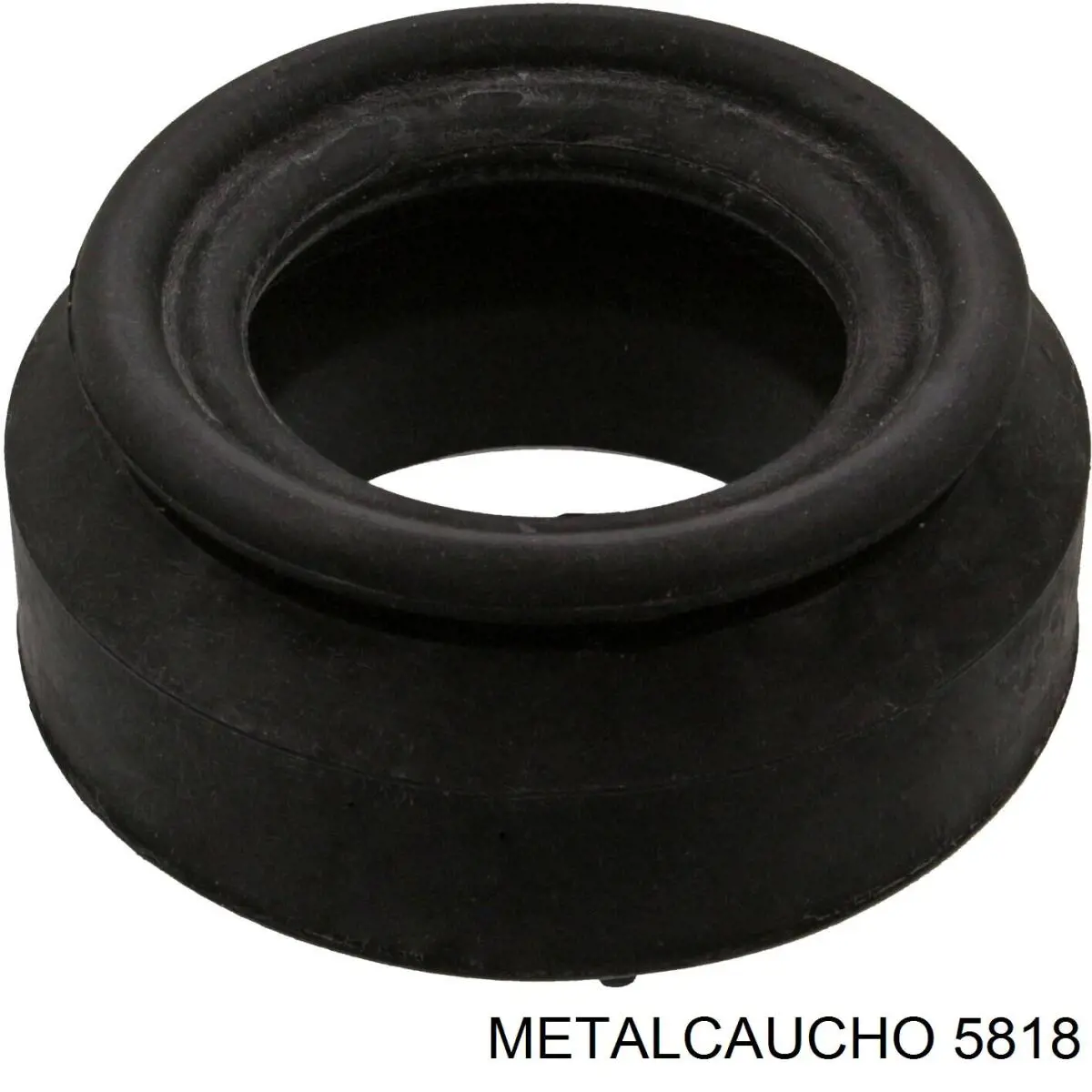 5818 Metalcaucho