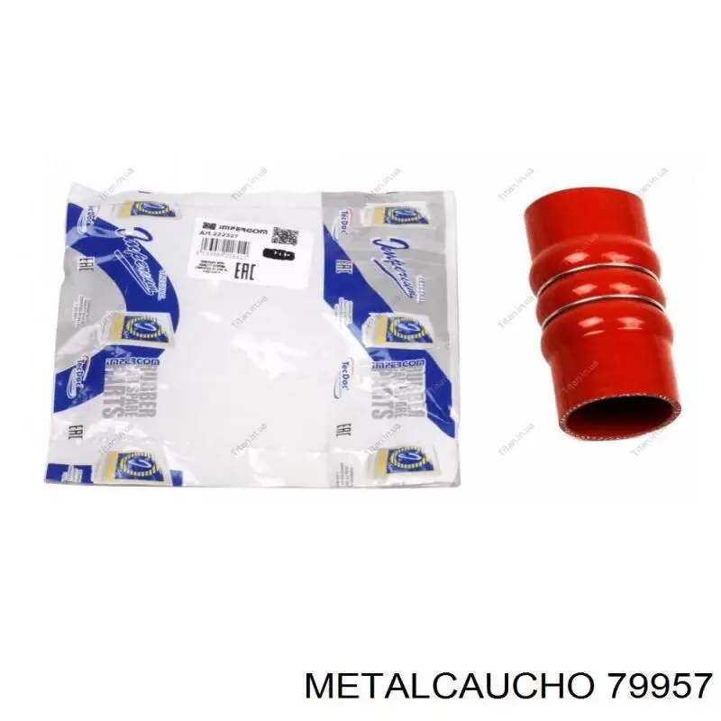 031356 Cautex 