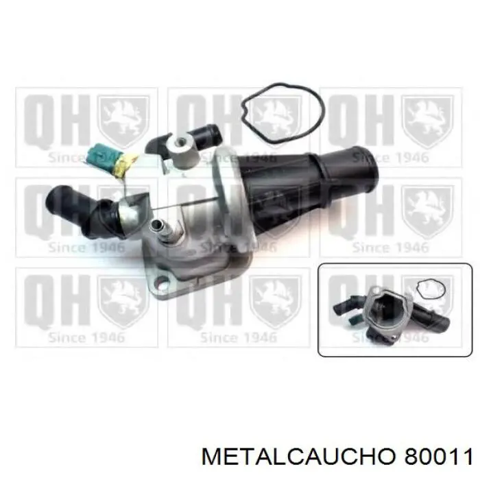 Cable del acelerador 038406 Cautex