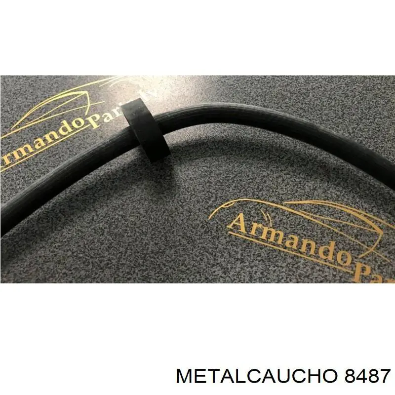 Comprar 1307AZ Peugeot/Citroen Manguera inferior del vaso de expansión