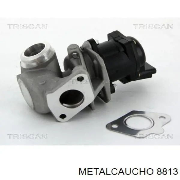 8813 Metalcaucho