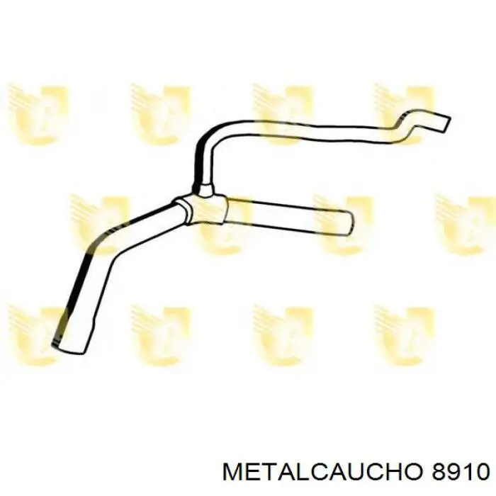 Manguera inferior del radiador 6025308738 Renault (RVI)