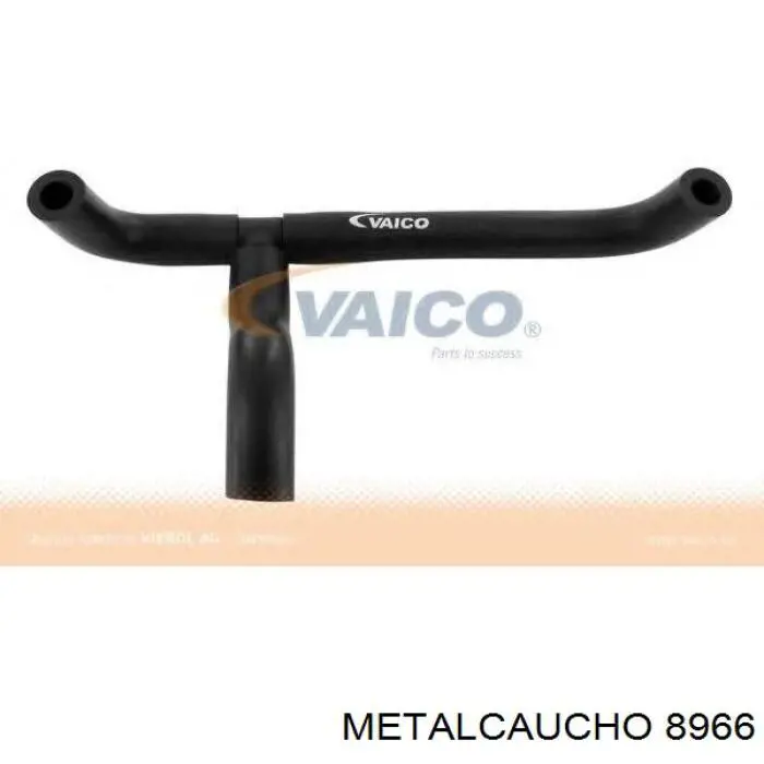  Cautex 481049