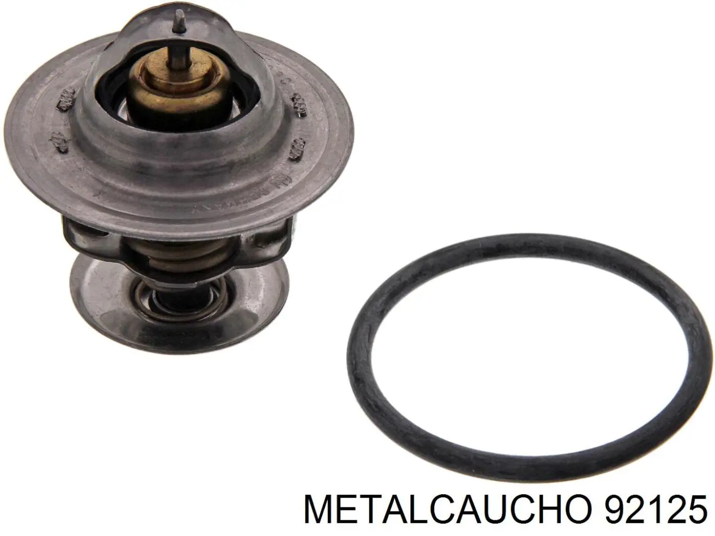 92125 Metalcaucho tubo de combustible atras de las boquillas