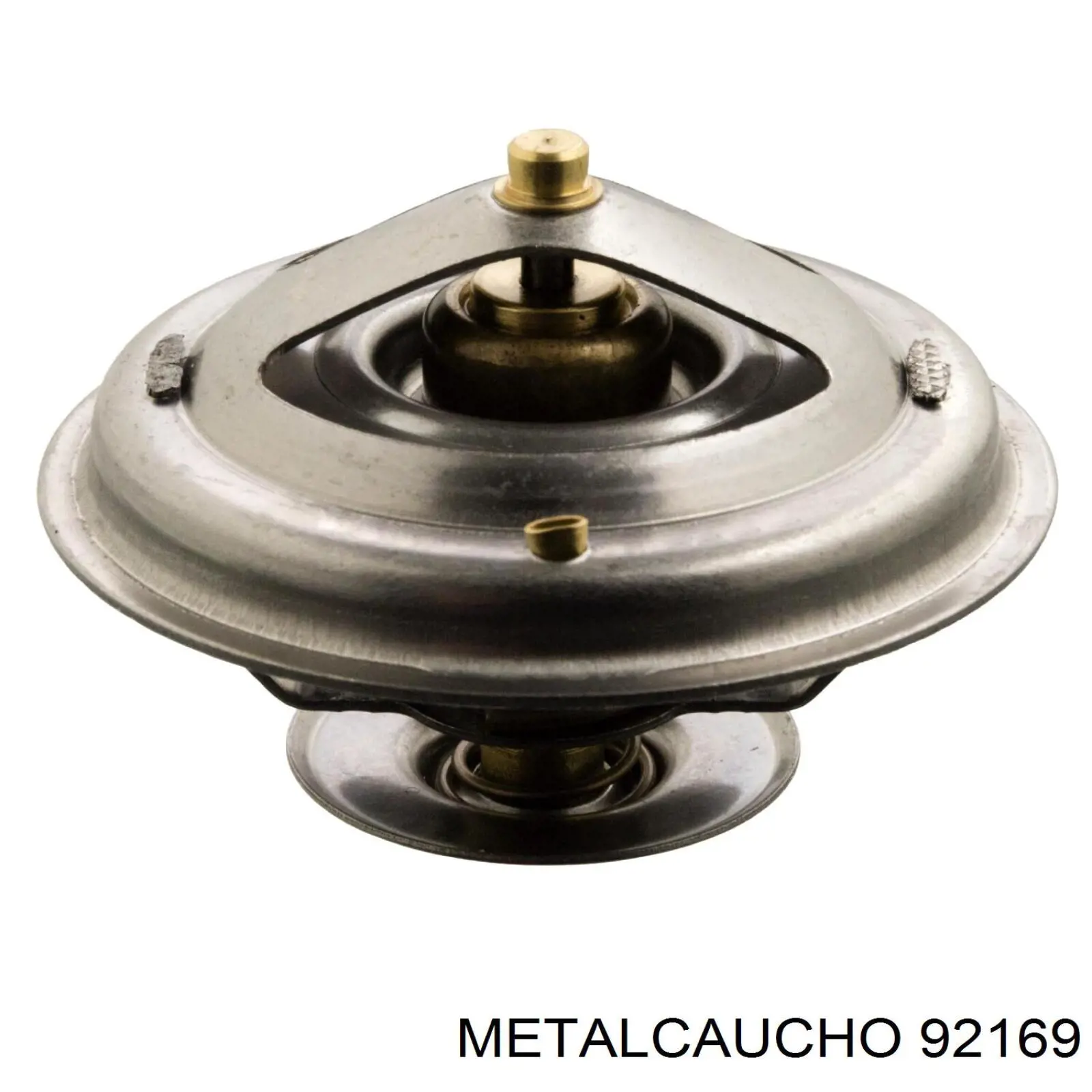 92169 Metalcaucho tubo (manguera Para El Suministro De Aceite A La Turbina)