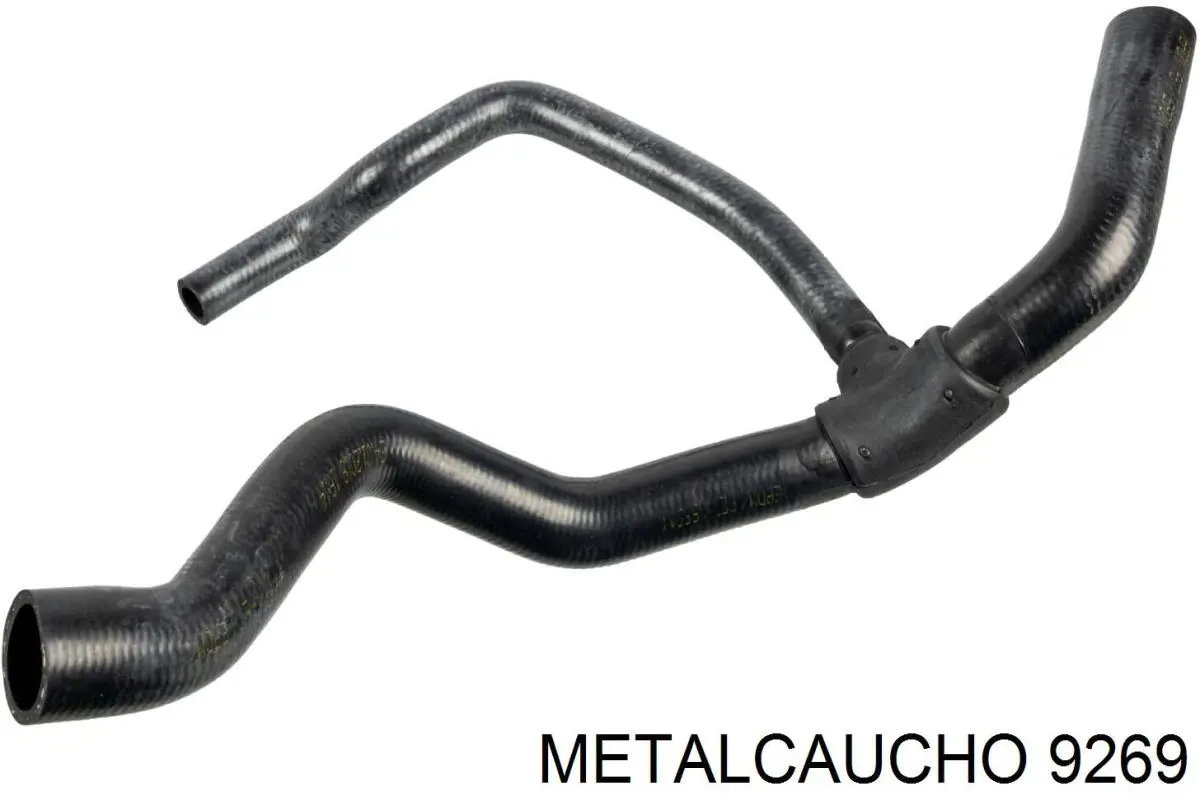 9269 Metalcaucho