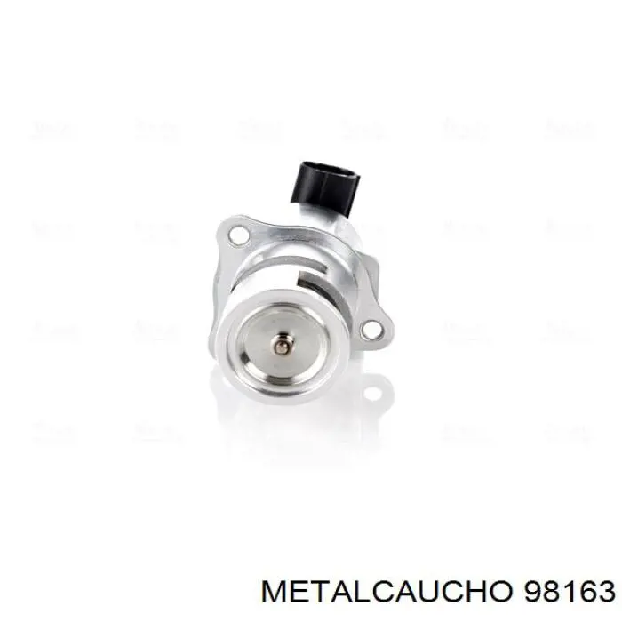 98163 Metalcaucho