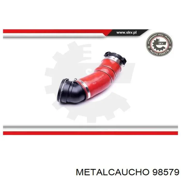 11617796293 BMW Manguera del intercooler