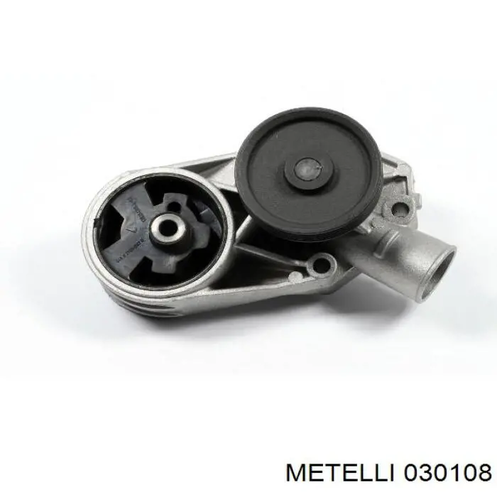 030108 Metelli