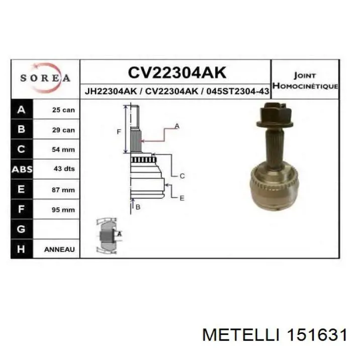 151631 Metelli