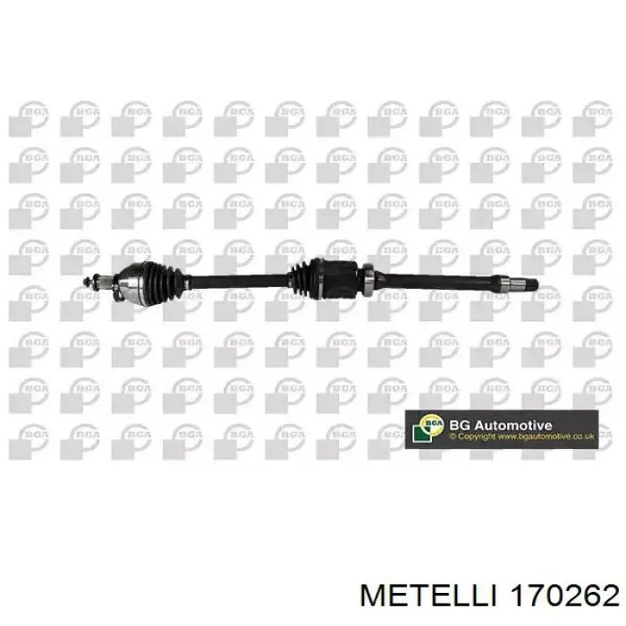 170262 Metelli